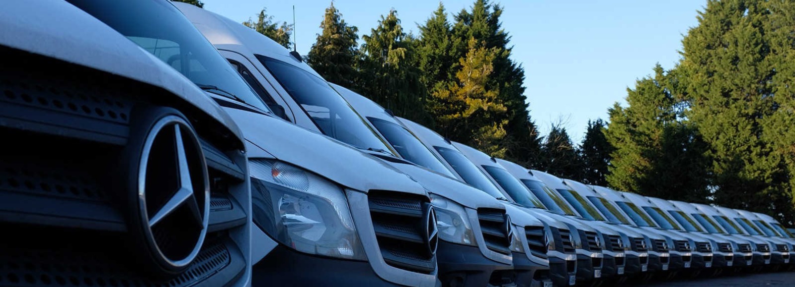 VFB offer a number of extra services to cover all your touring needs: